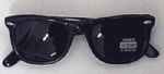 Black Wayfarers Sunglasses